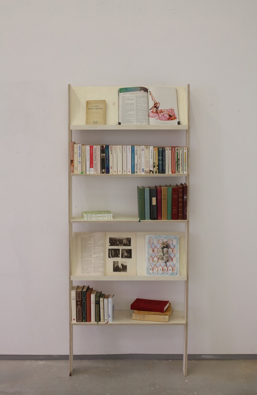 3.-collection-personnelle-de-55areieiditions-de-madame-bovary-grande