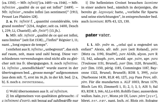 la-realisation-materielle-du-franzosisches-etymologisches-worterbuch